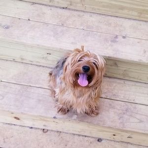 Meet your Posher, Heidi